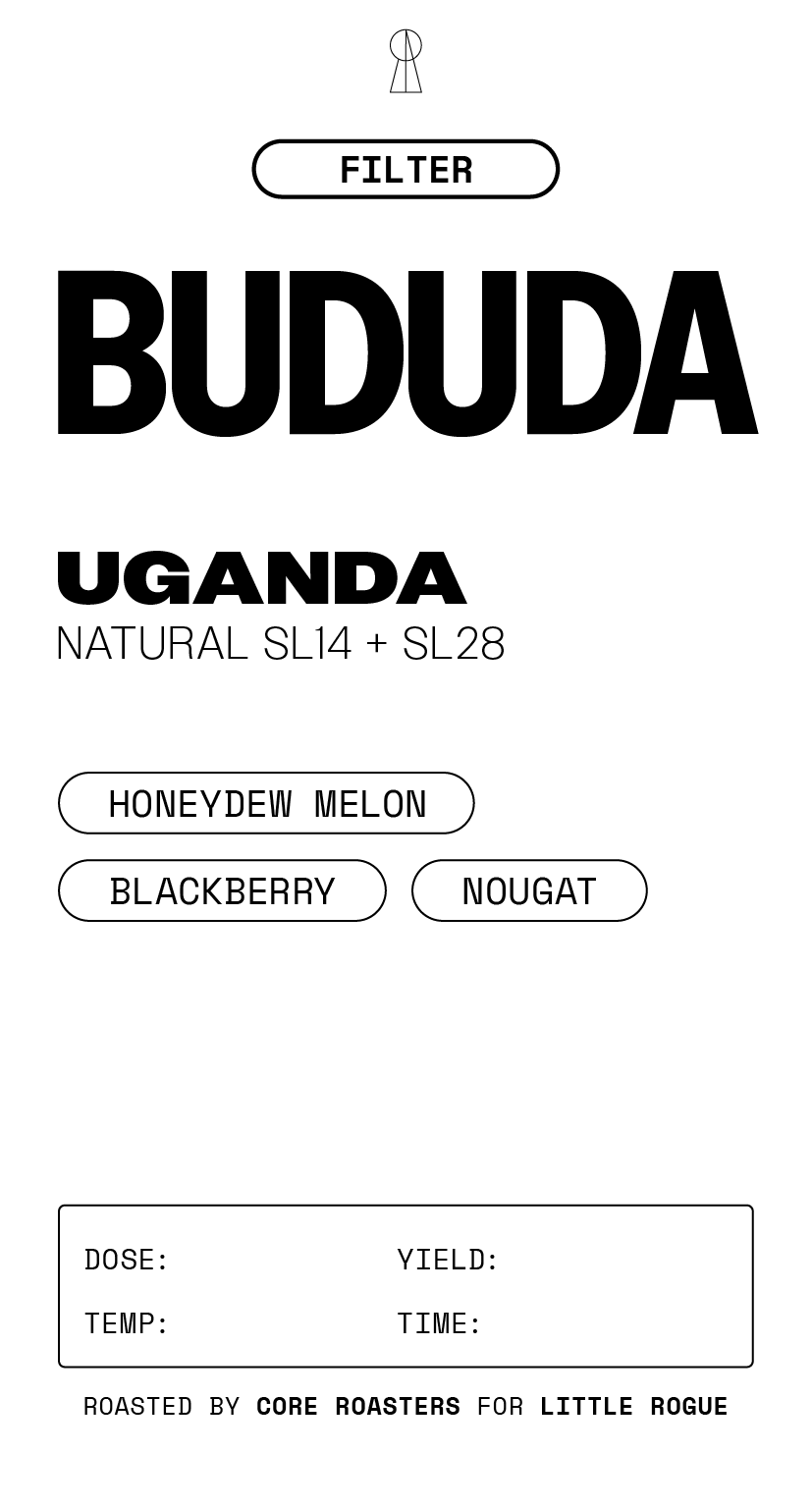 Bududa Ugandan Natural process filter coffee with tasting notes